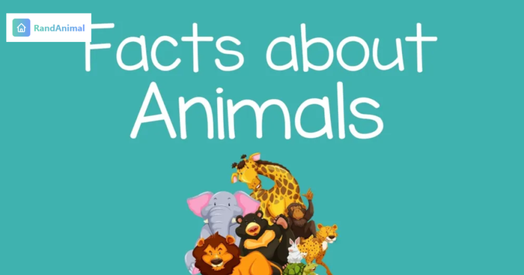 20 Random Animal Facts That Will Make You Look at Animals Differently