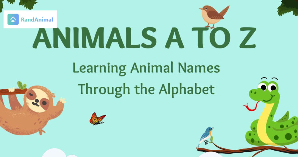 Every Animal from A to Z