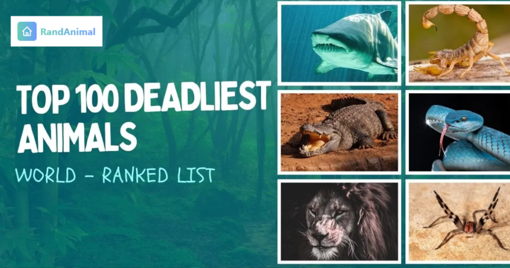 10 Most Dangerous Animals in the World