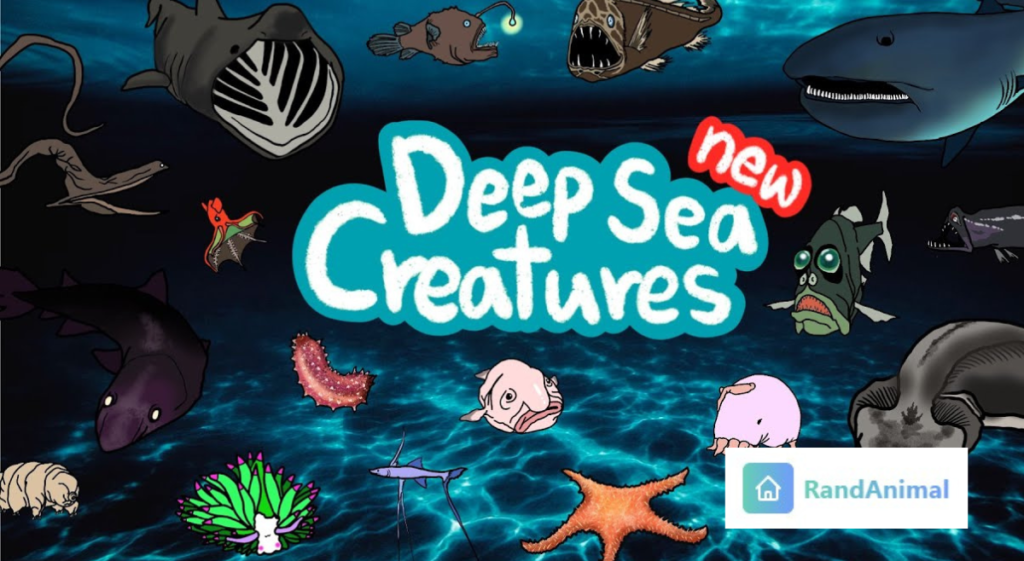 deep sea creatures